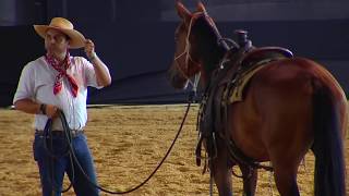 Aluísio Marins (Equitação Western e Clássica)