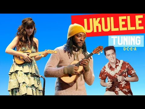 Ukulele Tuning  How to tune a Ukulele  Stay Tuned