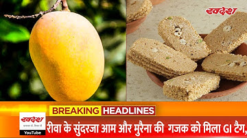 MP News : Rewa के सुंदरजा आम और मुरैना की  गजक को मिला GI टैग, CM दी बधाई | @SwadeshjyotiLiveTV