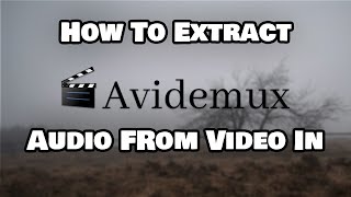 How To Extract Audio From Video In Avidemux