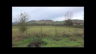 Ferramonti : Mussolini's largest internment camp