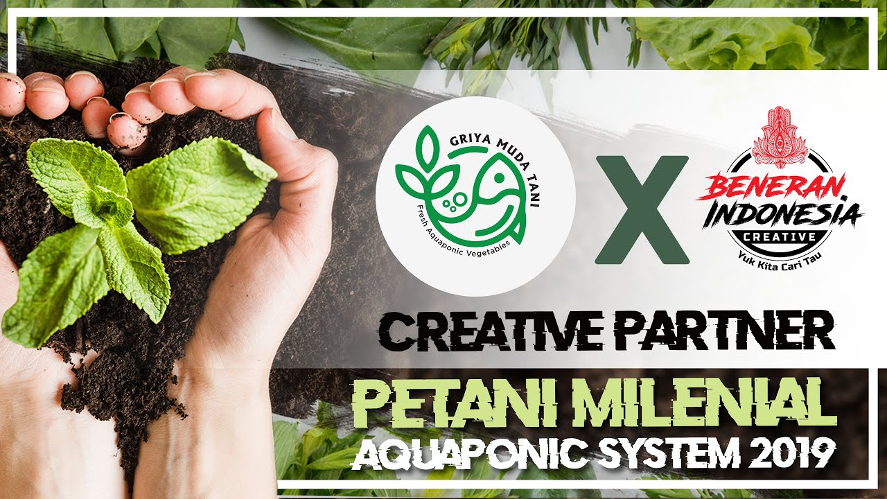 #8 Beneran Indonesia X Griya Muda Tani "AQUAPONIC SYSTEM" 2019-2020