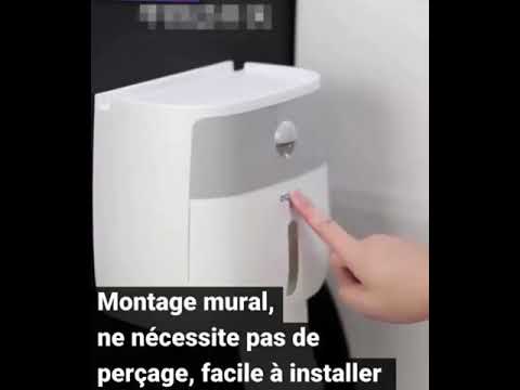 Vidéo: Porte-papier Toilette (56 Photos): Options Murales Pour Accessoires De Salle De Bain Et De Toilette