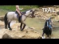 Schleich horse riding movie - Trail Trouble Mp3 Song