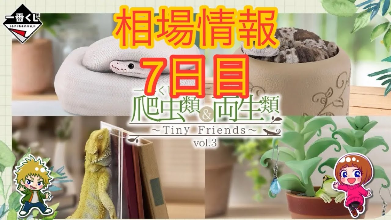 相場情報7日目一番くじ 爬虫類＆両生類～Tiny Friends～vol.3 - YouTube