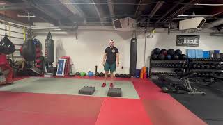 Hand Elevated Push Up ISO