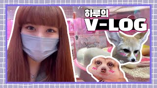 귀여운 동물 옆 더 귀여운 애🦝🦊 | HARU-LOG📷