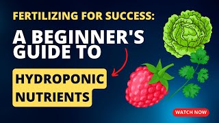 Fertilizing for Success A Beginners Guide to Hydroponic Nutrients