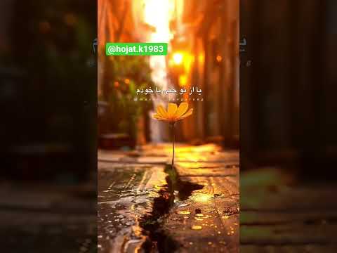 سیاوش قمیشی عادت