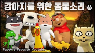 강아지를 위한 신기한 동물 소리, 강아지가 반응하는 소리 - YouTube for Dogs