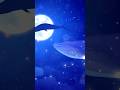クジラの鳴き声に癒されて眠る音楽 | #shorts #睡眠用bgm #クジラの鳴き声 #水中の音 #オトニシズム