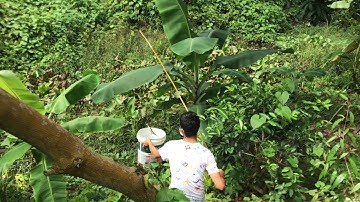 Chí Nguyên official - khi những cao thủ đi câu rắn mối , và gặp rắn độc #25