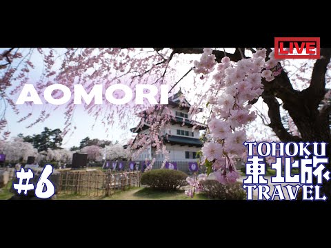 [生旅] 日本 東北編 青森県！弘前城の桜！  |東北-6|  with Ninja 650
