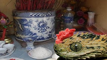 chuyện lạ - phát hiện rắn thần có mào đỏ chót, xác 6 năm không rữa tại Tràng An