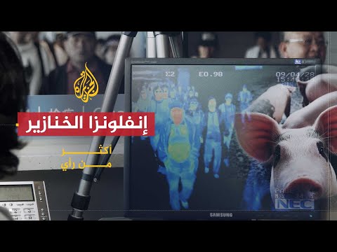أكثر من رأي | ما خطورة إنفلونزا الخنازير بين الحقيقة والتهويل؟