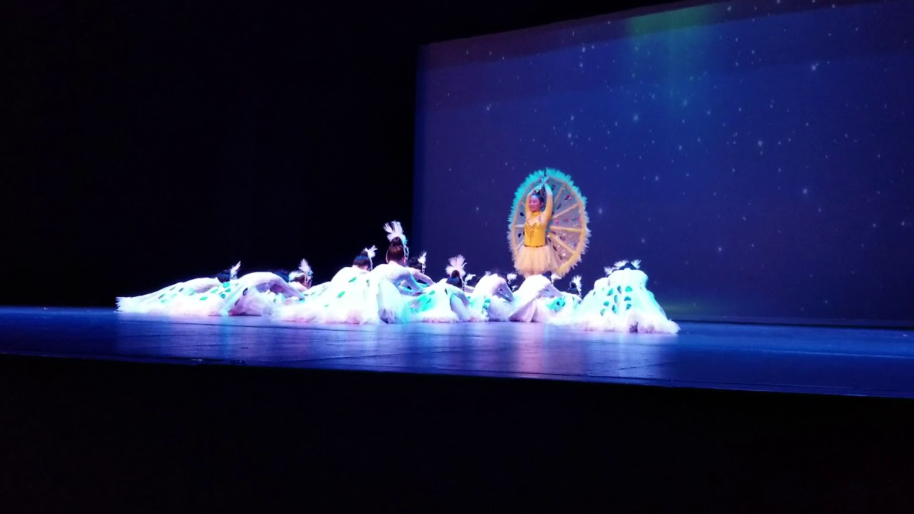 入手困難! 遊戯王 シールダスEX ホログラム 孔雀舞&パーピィレディ D006