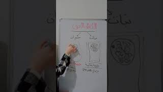 مراجعة شاملة اولى ثانوي ج ع و ت / الجزء الاول /