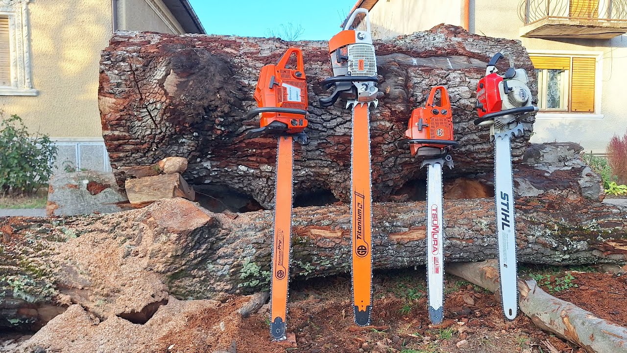 コツメカワウソ Monster acțion with Stihl 070, MS 880, Husqvarna 3120xp, 2100CD