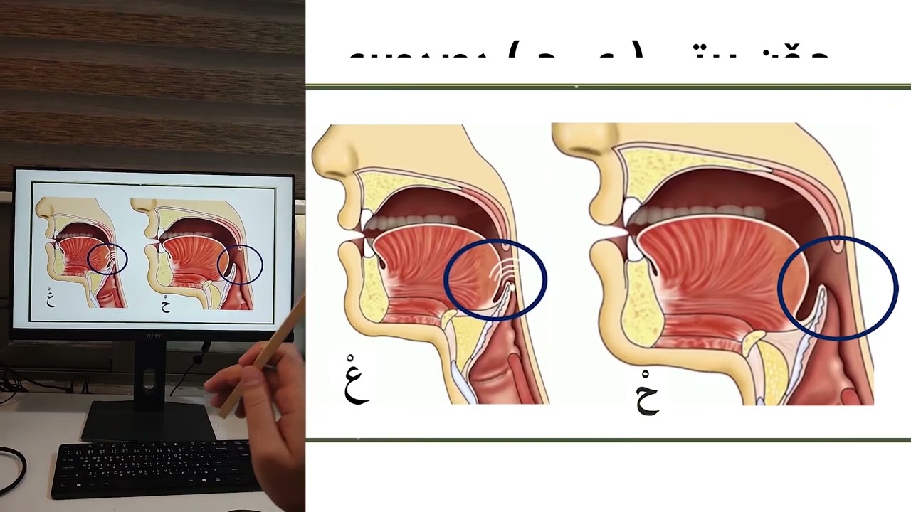 چـۆن پیتی ( ع ـ ح )  دەردەبڕی بۆخێری خـۆت بڵاوبکەوە