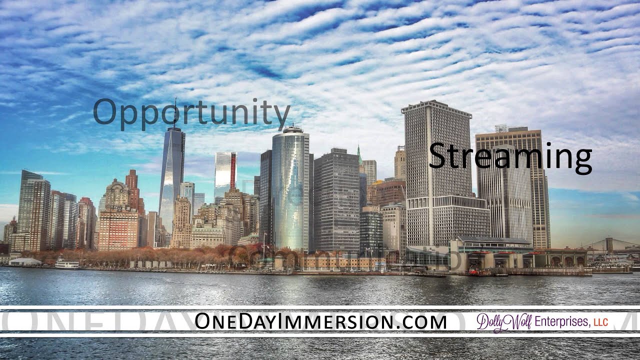 One Day Immersion 2015 - Conference Promo