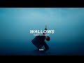 Tommy Docherty - WALLOWS (lyrics)