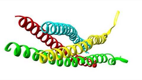 Coiled-coil deformations in crystal structures. 1