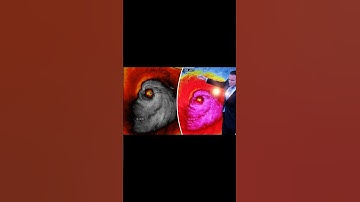 Những cơn bão có hình dạng khủng khiếp nhất ☠️  #Dukie #DukieHuyenBi #Chuyenma #kinhdi #shorts