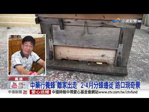 高雄天空驚見"萬隻蜜蜂"盤旋 外送員慘被包圍!│中視新聞 20230223