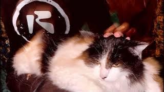 ROZIE - solid4_2 angel 138 fm