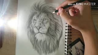 How to draw a lion the last part كيفية رسم الاسد الجزء الأخير ?