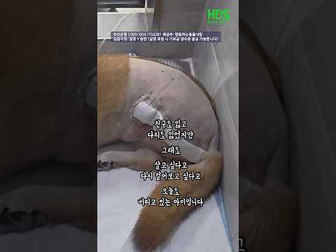 송현이가 세다리로도 다시 웃을 수 있도록부디… 함께해 주세요