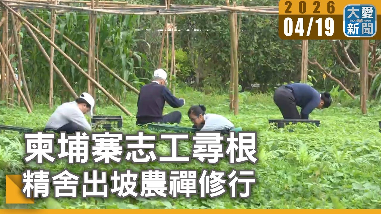 柬埔寨志工尋根 精舍出坡農禪修行｜#大愛新聞 #柬埔寨志工 #靜思精舍