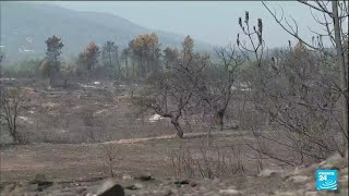 Violent incendie dans le Var : deux personnes décédées et 6 300 hectares brûlés • FRANCE 24