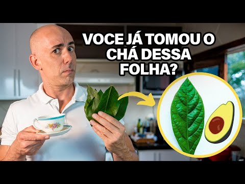 OS BENEFÍCIOS DO CHÁ DA FOLHA DE ABACATE | DR DAYAN SIEBRA #abacate #pedranosrins #remedionatural