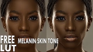 FREE MELANIN SKIN TONE LUT GIVE AWAY FREE MELANIN SKIN TONE LUT GIVE AWAY