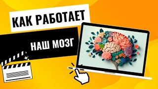 Как нас обманывает наш мозг. 5 причин, почему мозг не верит глазам