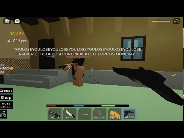 gamer girls in youlose (Roblox The Streets)