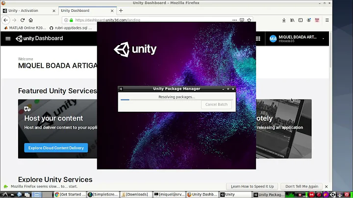 How to install Unity on a Debian system