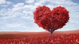 Peaceful music, Relaxing music, Instrumental Musc 'Endless Love'  Happy Valentines Day