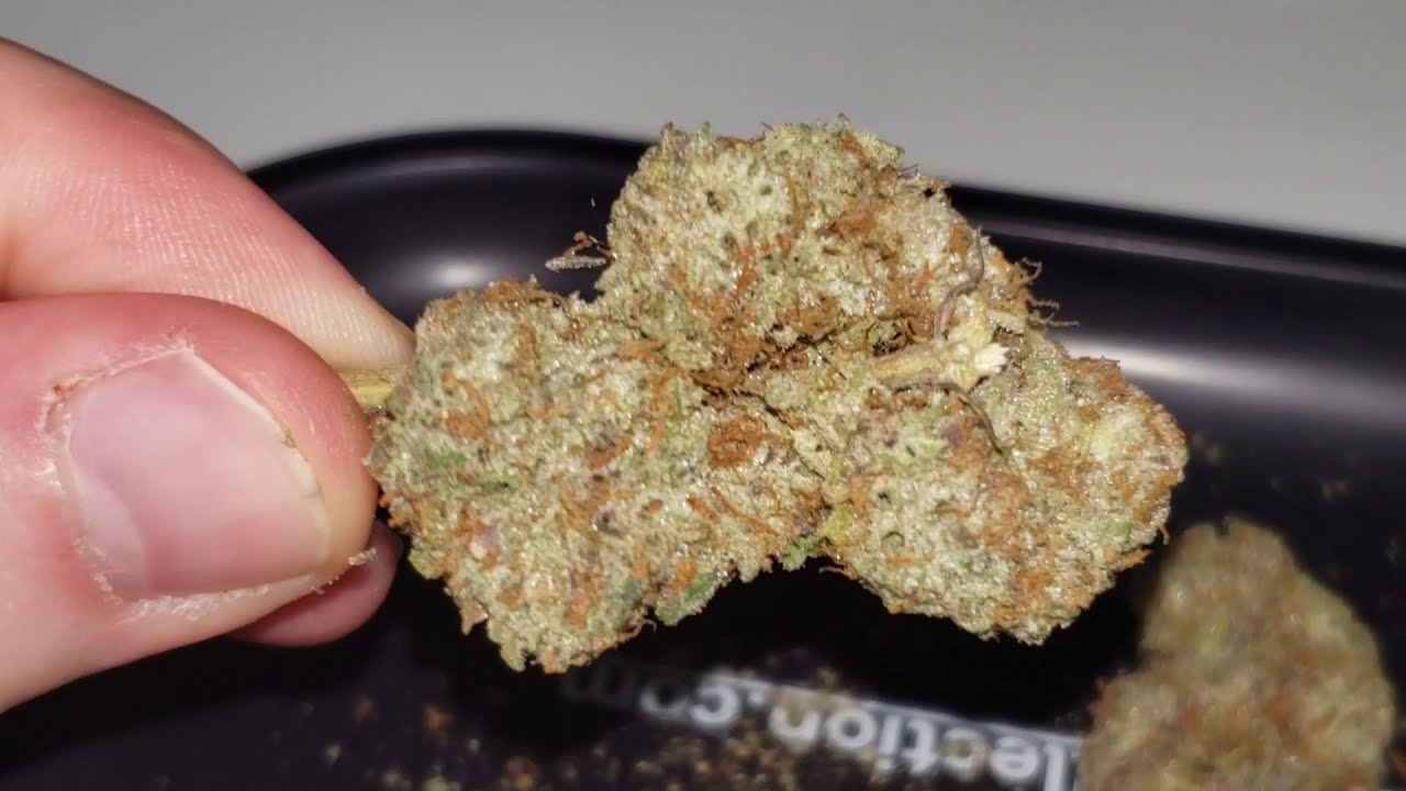 STRAIN REVIEW 184: dafe - Dnmn