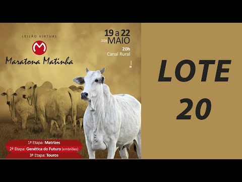 LOTE 20
