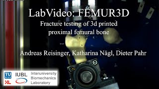 LabVideo: Femur3D | Fracture testing of 3D-printed proximal femural bone