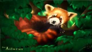 Ailurus - Intro - Dj Marky &amp; Xrs feat. Stamina MC - LK