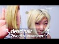 i didn't wash my hair for TWO WEEKS...this is what happened (dead hair HEALED during experiment!!)