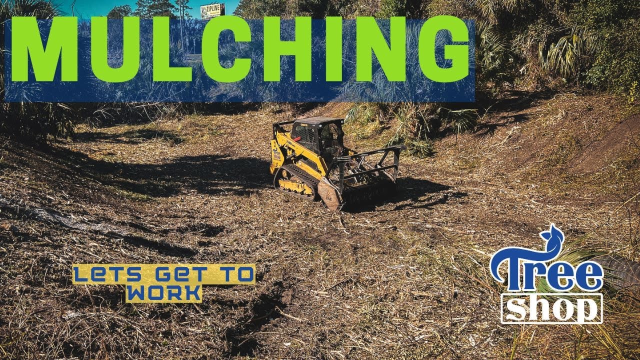 How to Clear Overgrown Land in Ocala Florida with Forestry Mulching FAST Tree Shop YouTube