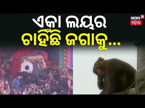 ଏକାଲୟରେ ଚାହିଁଛି ଜଗାକୁ...Jagannath Pahandi | Puri Rath Yatra | Jay Jagannath | Puri News | Odia News