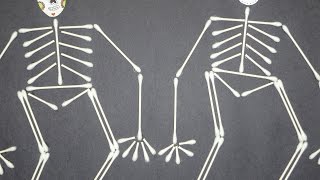 Craft : Cotton Swab Skeleton