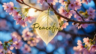 Tranquil Sakura Serenity ~ Gentle Rain, Piano & Violin for Insomnia Healing, Anxiety and Insomnia