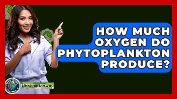 How Much Oxygen Do Phytoplankton Produce? - Earth Science Answers