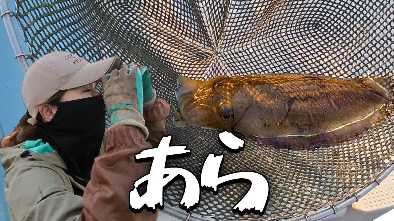 カワハギ探検隊出動…からの奇跡のイカ登場！